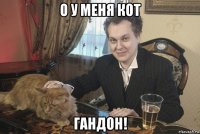 о у меня кот гандон!