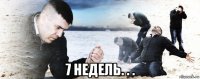  7 недель. . .