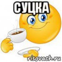 суцка 