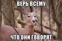 верь всему что они говорят