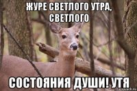 журе светлого утра, светлого состояния души! утя