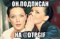 он подписан на @dtpgif