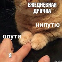 ежедневная дрочка я