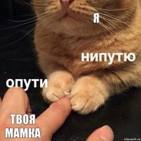 я твоя мамка