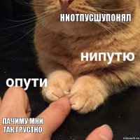 ниотпусшупонял пачиму мни так грустно