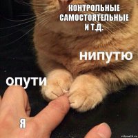 контрольные самостоятельные и т.д. я