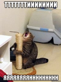 тттттттииииииии яяяяяяяяннннннннн