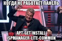 когда не работает панель apt-get install ispmanager-lite-common