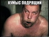 кумыс подрящий 