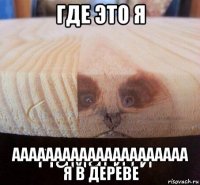 где это я ааааааааааааааааааааа я в дереве