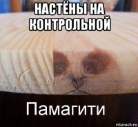 настёны на контрольной 