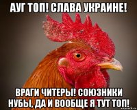 ауг топ! слава украине! враги читеры! союзники нубы, да и вообще я тут топ!