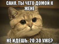 саня, ты чего домой к жене не идешь, 20:30 уже?