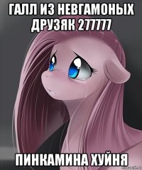 галл из невгамоных друзяк 277777 пинкамина хуйня