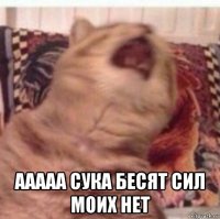  ааааа сука бесят сил моих нет