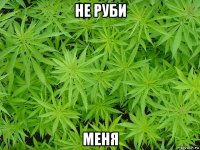 не руби меня