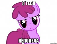 я тебя непонела