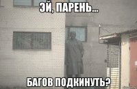  багов подкинуть?