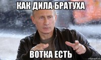 как дила братуха вотка есть