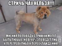 стричь чау нельзя!!! мнения по поводу стрижки могут быть любые, но в 90% это ведет либо к перегреву либо к переохлаждению.