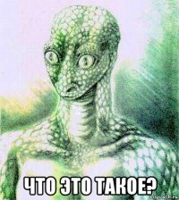  что это такое?