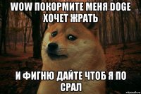 wow покормите меня doge хочет жрать и фигню дайте чтоб я по срал