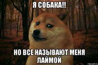 я собака!! но все называют меня лаймой