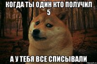 когда ты один кто получил 5 а у тебя все списывали