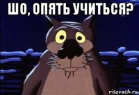 шо, опять учиться? 