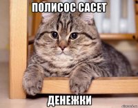 полисос сасет денежки