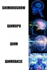 SHIMOROSHOW ШИМОРО ШИМ ШИМПАНЗЕ