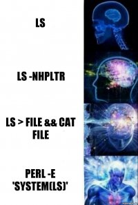 ls ls -nhpltr ls > file && cat file perl -E 'system(ls)'
