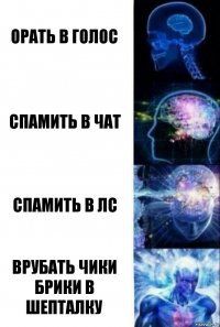 Орать в голос Спамить в чат спамить в лс Врубать чики брики в шепталку