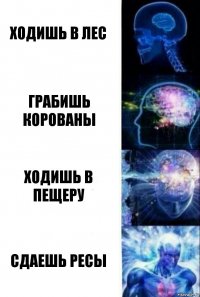 Ходишь в лес Грабишь корованы Ходишь в пещеру Сдаешь ресы