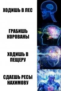 Ходишь в лес Грабишь корованы Ходишь в пещеру Сдаешь ресы Нахимову