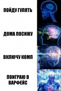 пойду гулять дома посижу включу комп поиграю в варфейс