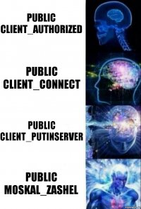 public client_authorized public client_connect public client_putinserver public moskal_Zashel