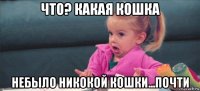 что? какая кошка небыло никокой кошки...почти