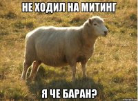 не ходил на митинг я че баран?