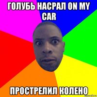 голубь насрал on my car прострелил колено