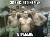 элвис, это не чуб а гребень