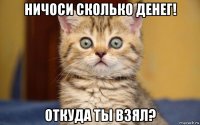 ничоси сколько денег! откуда ты взял?