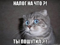 налог на что ?! ты пошутил ? !