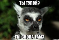 ты тупой? ты снова там?