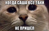 когда саша всё-таки не пришёл