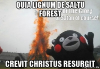 quia lignum de saltu forest crevit christus resurgit