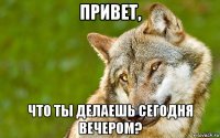 привет, что ты делаешь сегодня вечером?