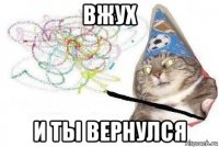 вжух и ты вернулся