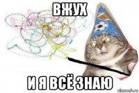 вжух и я всё знаю