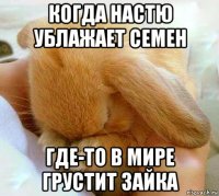 когда настю ублажает семен где-то в мире грустит зайка